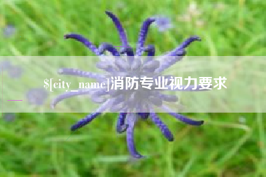 赵县消防专业视力要求