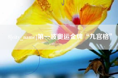 赵县第一波奥运金牌“九宫格”