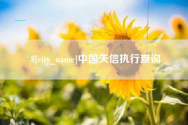 赵县中国失信执行查询