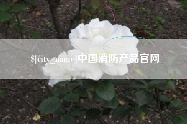 赵县中国消防产品官网