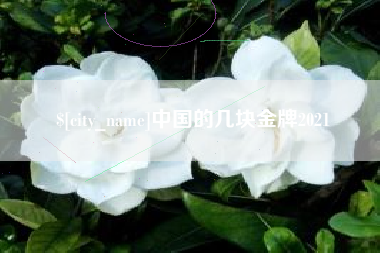 赵县中国的几块金牌2021