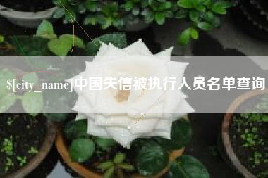 赵县中国失信被执行人员名单查询