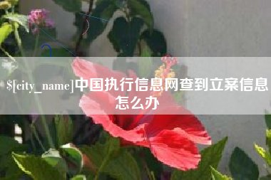 赵县中国执行信息网查到立案信息怎么办