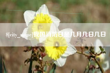 赵县我国消防日是几月几日几日