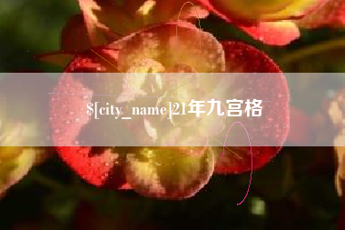 赵县21年九宫格