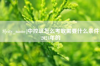 赵县中控证怎么考取需要什么条件2024年的