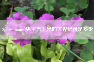 赵县男子五千米的世界纪录是多少
