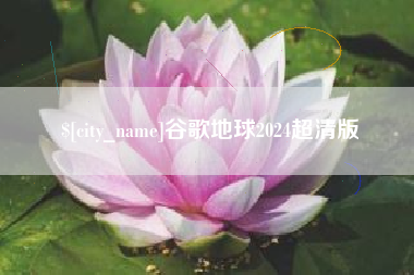 赵县谷歌地球2024超清版