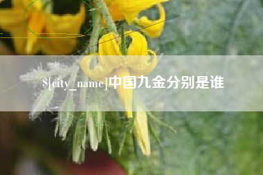 赵县中国九金分别是谁