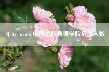 赵县中国消防救援学院招生人数