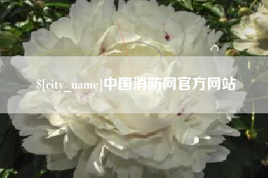 赵县中国消防网官方网站