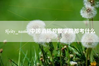 赵县中国消防救援学院都考什么