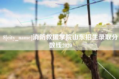 赵县消防救援学院山东招生录取分数线2020