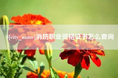 赵县消防职业资格证书怎么查询