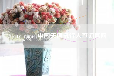 赵县中国失信执行人查询官网