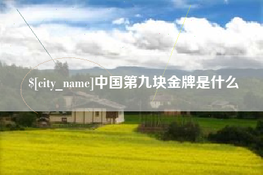 赵县中国第九块金牌是什么