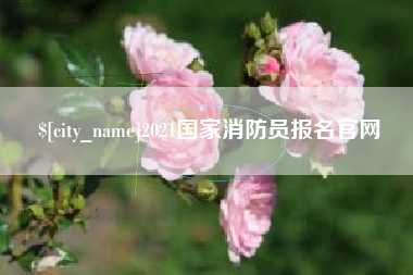 赵县2021国家消防员报名官网