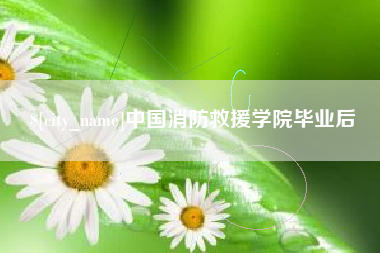 赵县中国消防救援学院毕业后