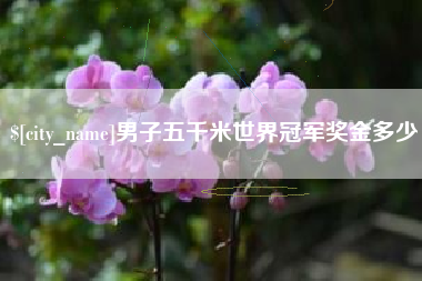 赵县男子五千米世界冠军奖金多少