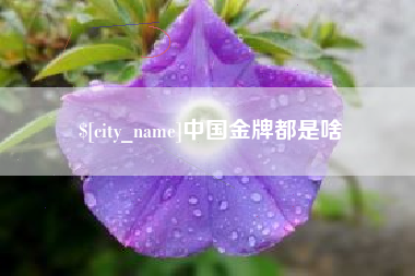 赵县中国金牌都是啥