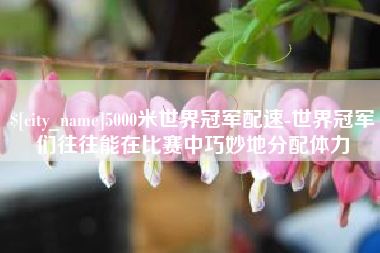 赵县5000米世界冠军配速-世界冠军们往往能在比赛中巧妙地分配体力