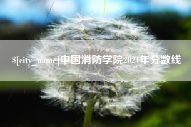 赵县中国消防学院2024年分数线
