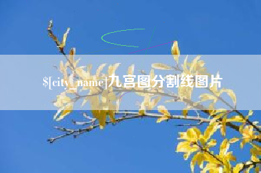赵县九宫图分割线图片