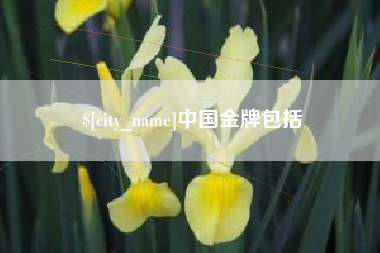 赵县中国金牌包括