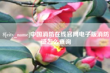 赵县中国消防在线官网电子版消防证怎么查询