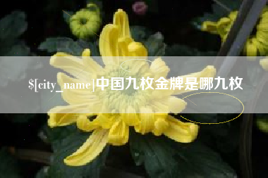 赵县中国九枚金牌是哪九枚