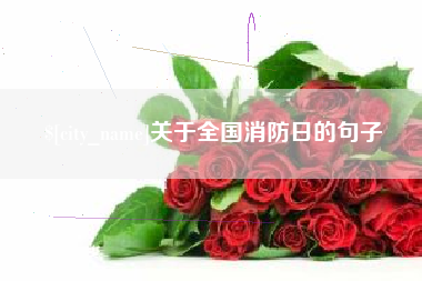 赵县关于全国消防日的句子
