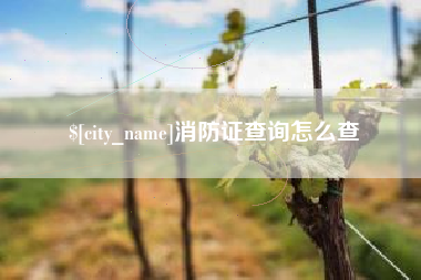 赵县消防证查询怎么查