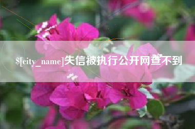 赵县失信被执行公开网查不到