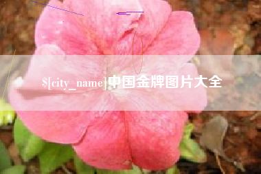 赵县中国金牌图片大全