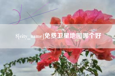 赵县免费卫星地图哪个好