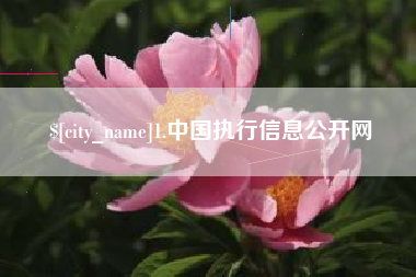 赵县1.中国执行信息公开网