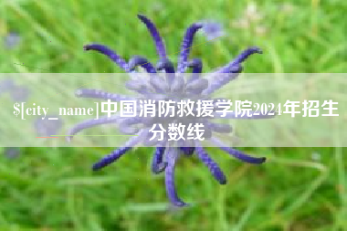 赵县中国消防救援学院2024年招生分数线