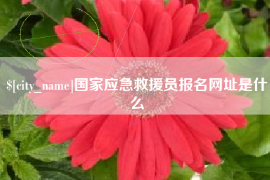 赵县国家应急救援员报名网址是什么