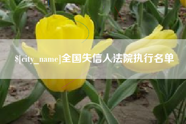 赵县全国失信人法院执行名单