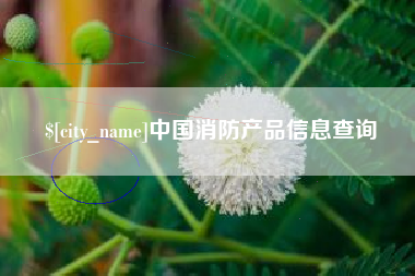 赵县中国消防产品信息查询