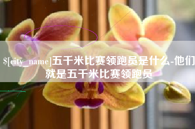 赵县五千米比赛领跑员是什么-他们就是五千米比赛领跑员