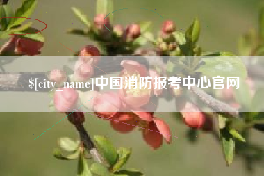 赵县中国消防报考中心官网