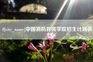 赵县中国消防救援学院招生计划表