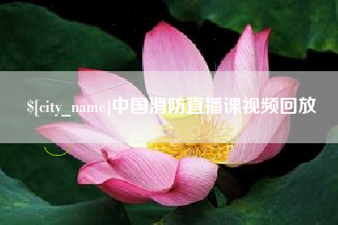 赵县中国消防直播课视频回放
