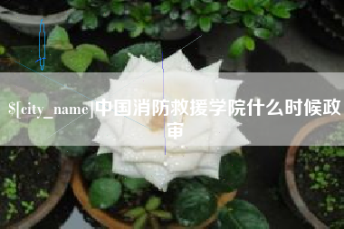 赵县中国消防救援学院什么时候政审