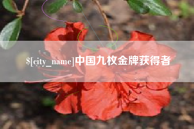 赵县中国九枚金牌获得者
