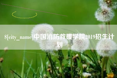 赵县中国消防救援学院2019招生计划