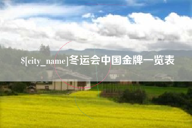 赵县冬运会中国金牌一览表