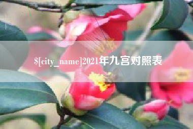 赵县2021年九宫对照表
