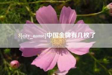 赵县中国金牌有几枚了